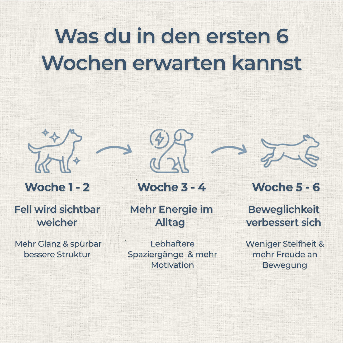Hundewohl™ - Die Unterstützung für Fell, Gelenke & Energie