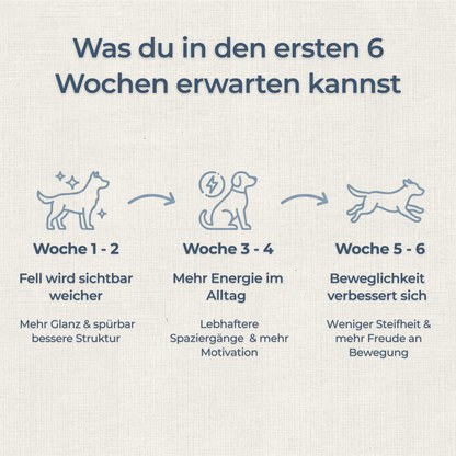 Hundewohl™ - Die Unterstützung für Fell, Gelenke & Energie