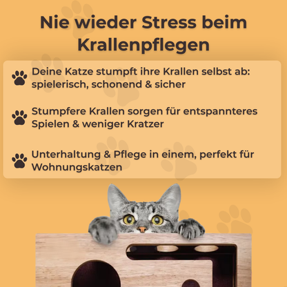 Kratzy™ -  Die Spielbox, die Katzenkrallen beim Spielen sanft stumpft