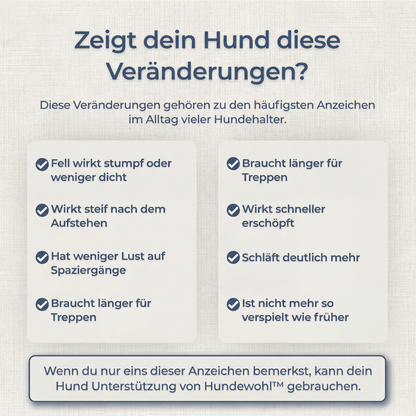 Hundewohl™ - Die Unterstützung für Fell, Gelenke & Energie