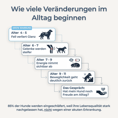 Hundewohl™ - Die Unterstützung für Fell, Gelenke & Energie