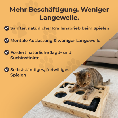 Kratzy™ -  Die Spielbox, die Katzenkrallen beim Spielen sanft stumpft