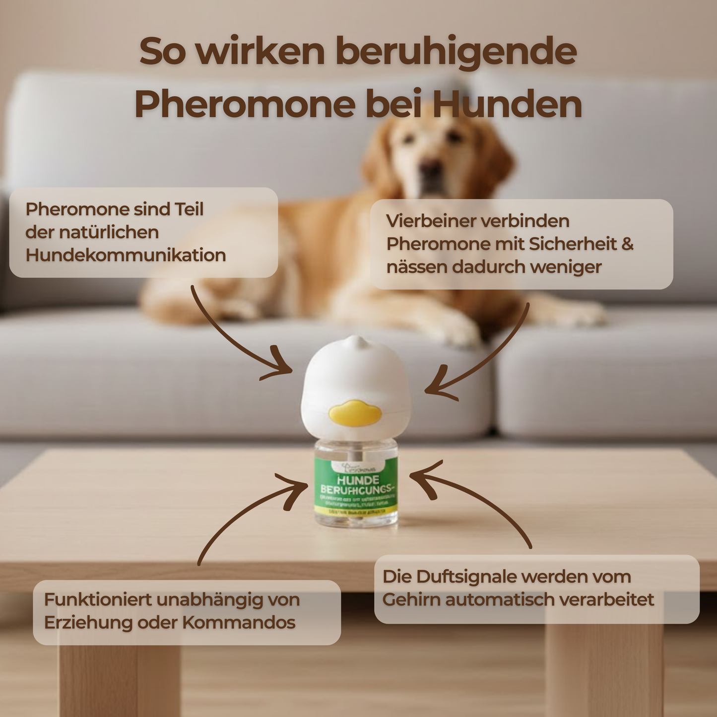 CalmDog™ - Der beruhigende Pheromon-Diffusor für ein entspanntes Zuhause