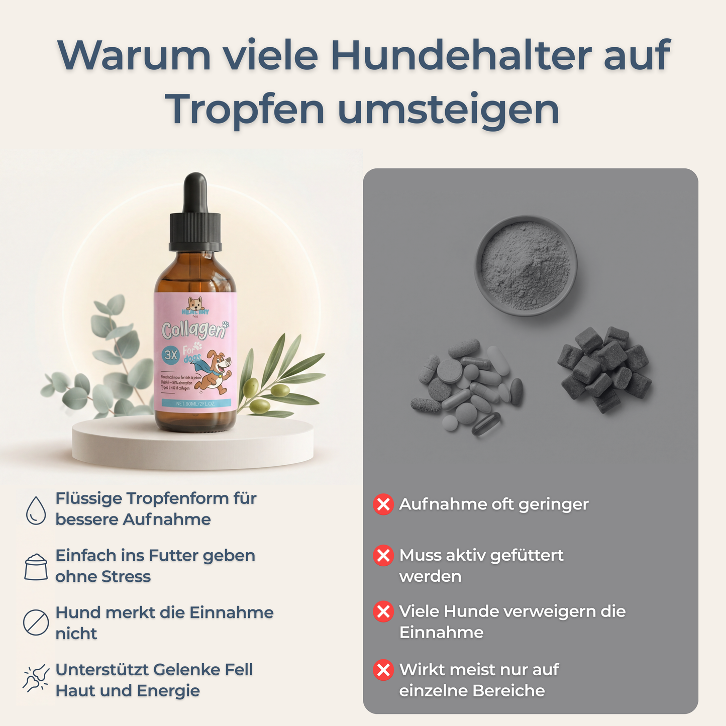 Hundewohl™ - Die Unterstützung für Fell, Gelenke & Energie