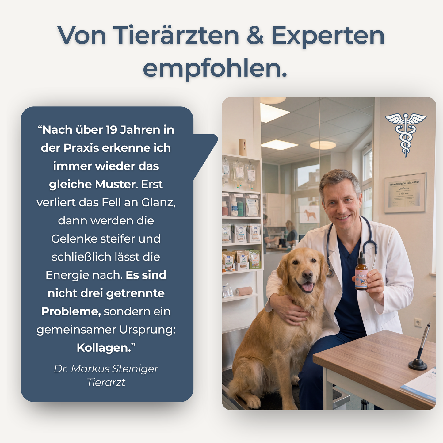 Hundewohl™ - Die Unterstützung für Fell, Gelenke & Energie