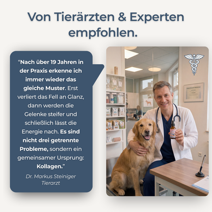 Hundewohl™ - Die Unterstützung für Fell, Gelenke & Energie