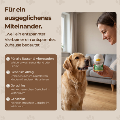 CalmDog™ - Der beruhigende Pheromon-Diffusor für ein entspanntes Zuhause