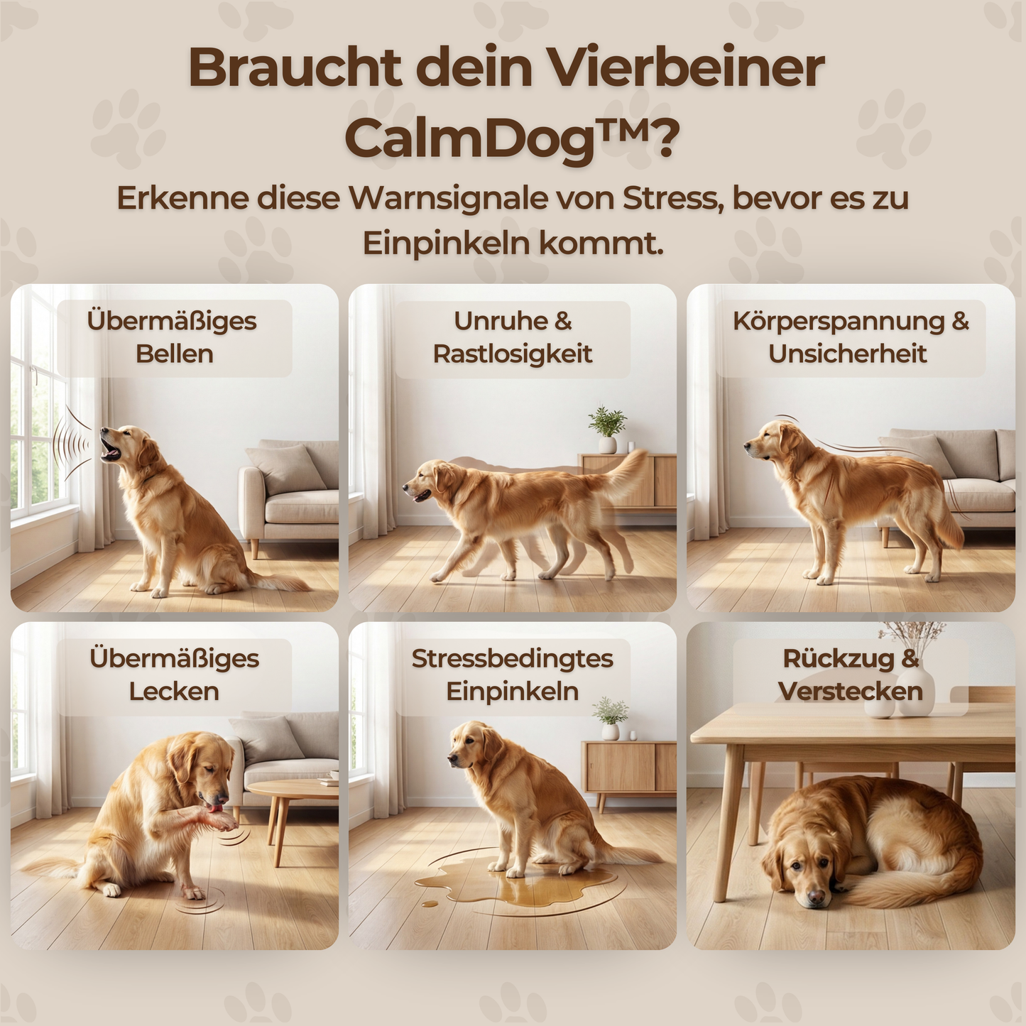 CalmDog™ - Der beruhigende Pheromon-Diffusor für ein entspanntes Zuhause
